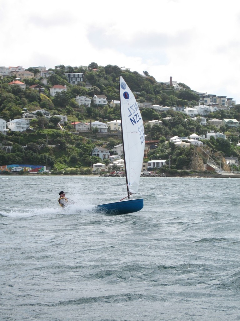David Brown putting his Europe through the paces - Europe Class 2011 New Zealand Championships © Bryn Heveldt